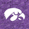 Iowa Hawkeyes Logo Vinyl Decal Sticker