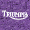 Triumph Vinyl Decal Sticker