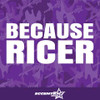 Because Ricer Vinyl Decal Sticker