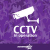 CCTV In Operation Vinyl Decal Sticker