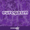Eurogasm Vinyl Decal Sticker