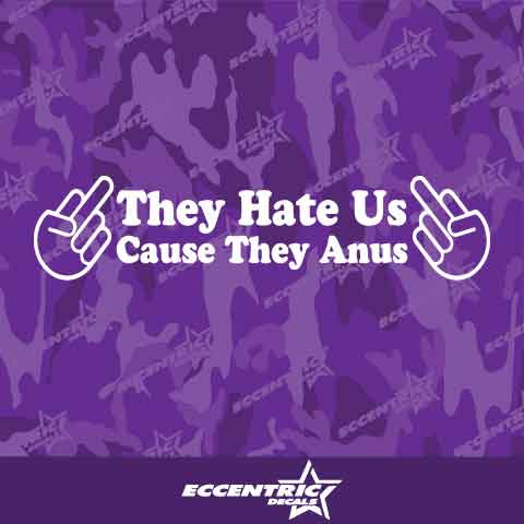 They Hate Us Cause They Anus Vinyl Decal Sticker