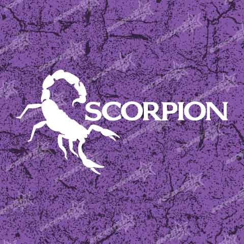 Scorpion Vinyl Decal Sticker