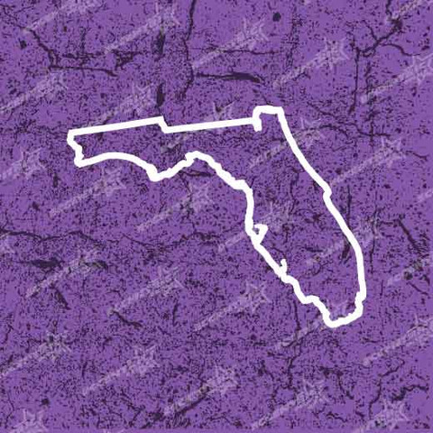 +Florida State Outline Vinyl Decal Sticker