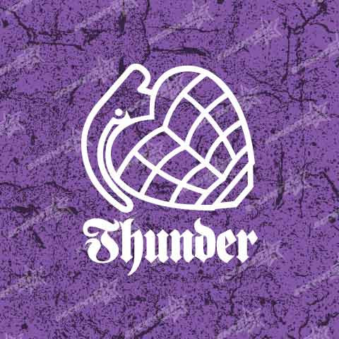Thunder Trucks Vinyl Decal Sticker