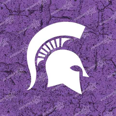 Michigan State University Spartan Helmet Vinyl Decal Sticker