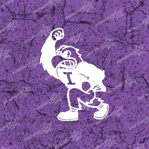 Iowa Hawkeyes Herky Vinyl Decal Sticker