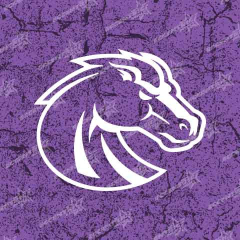 Boise State Broncos Logo Vinyl Decal Sticker