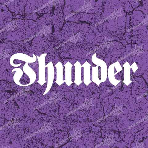 Thunder Trucks Script Vinyl Decal Sticker
