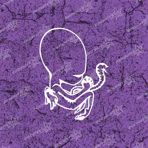 Sigur Ros Logo Vinyl Decal Sticker