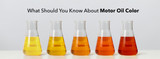 What Should You Know About Motor Oil Color