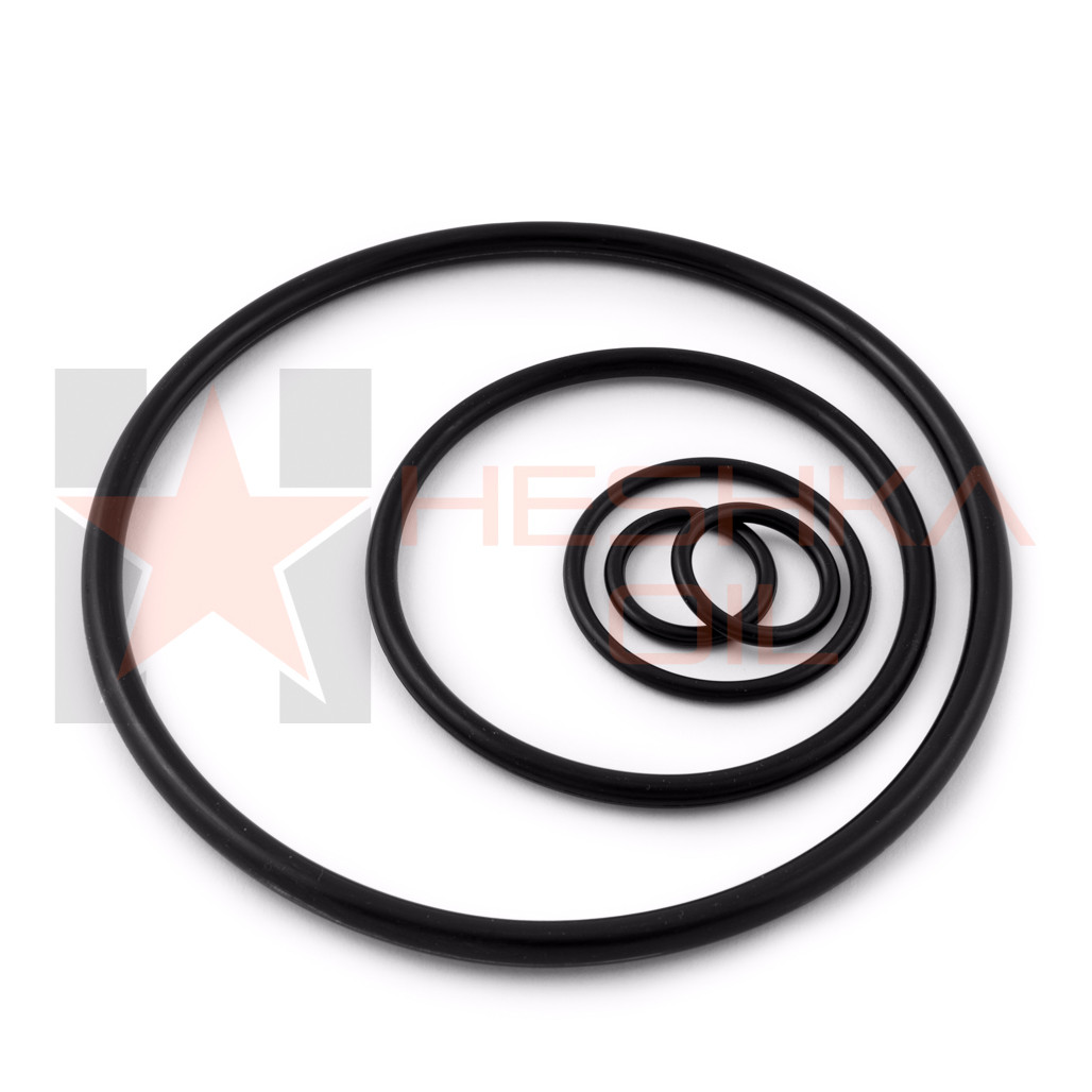 prr様 確認用 O-Ring for the Type R Check Valve for Sale: O-Ring Product - Order