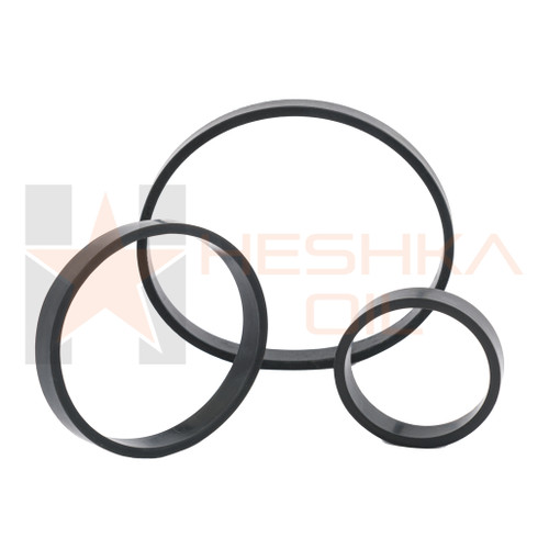 Back Pressure Valve and Two Way Check Valve OD Seal Ring