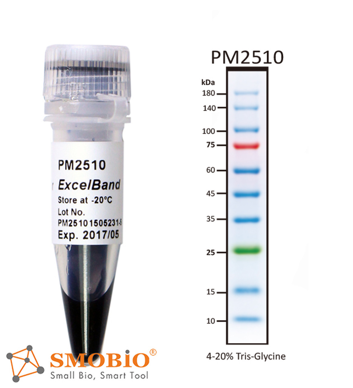 ExcelBand Enhanced 3-color Regular Range Protein Marker 250 µl x 2