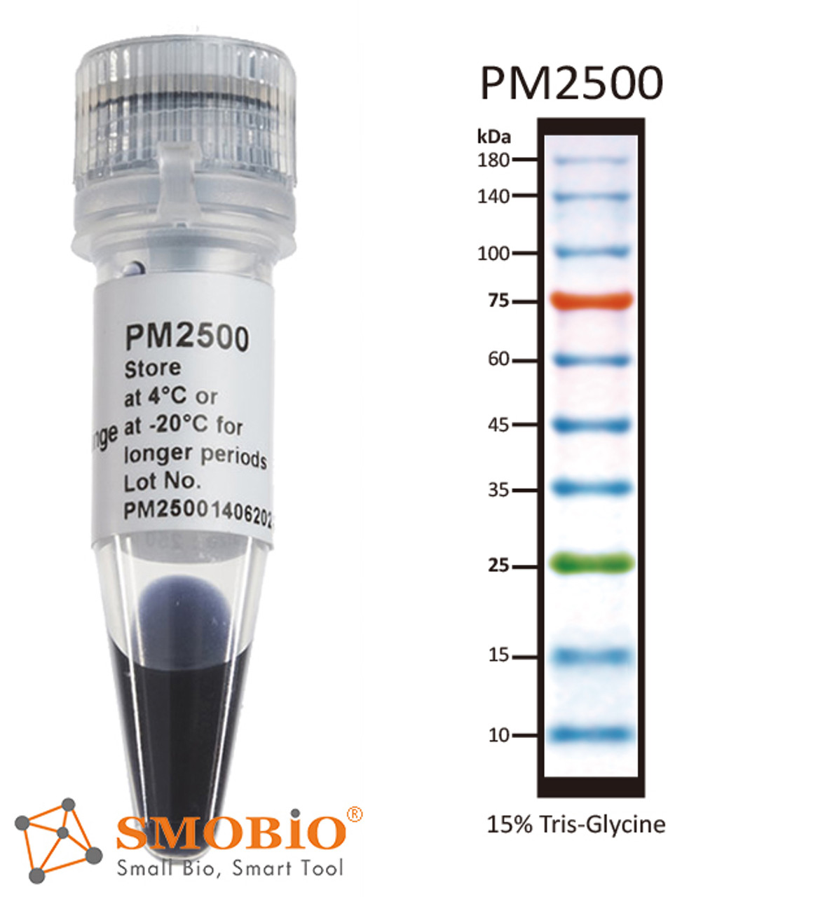 ExcelBand 3-color Regular Range Protein Marker 250µl x 2