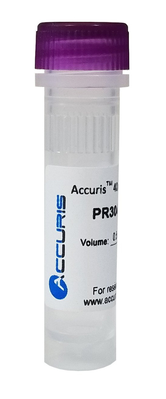 Accuris 40mM dNTP Mix, ready-to-use, each, 2ml - PCR Reagents Stellar