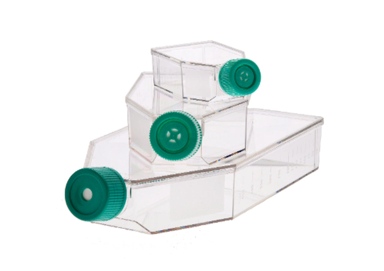 Stellar Scientific T25 25cm2 Tissue Culture Flask Tissue Culture Treated, Vent Cap, 200/CS