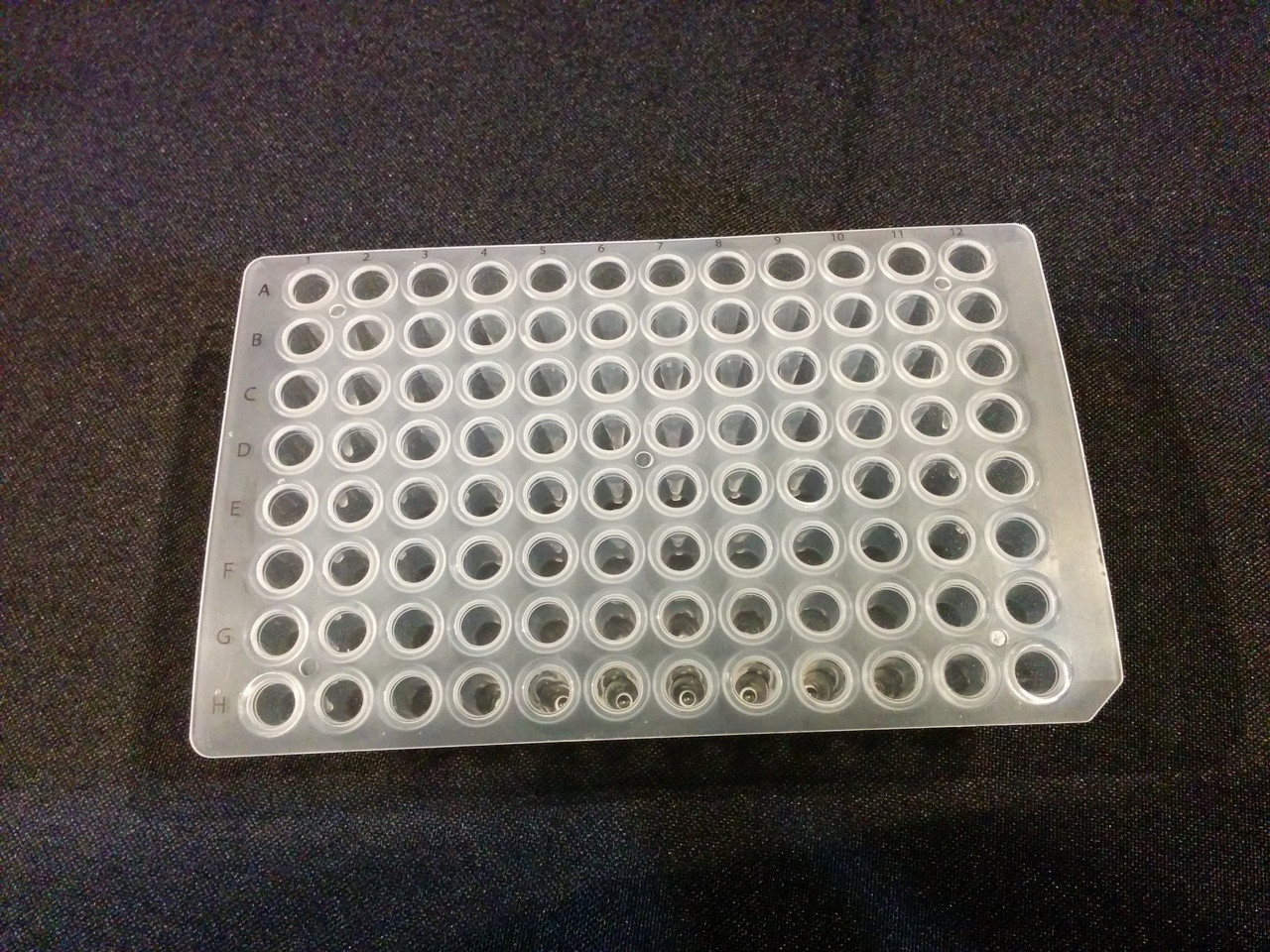 Stellar Scientific P96-100 96 Well Unskirted Polypropylene PCR Plate ...