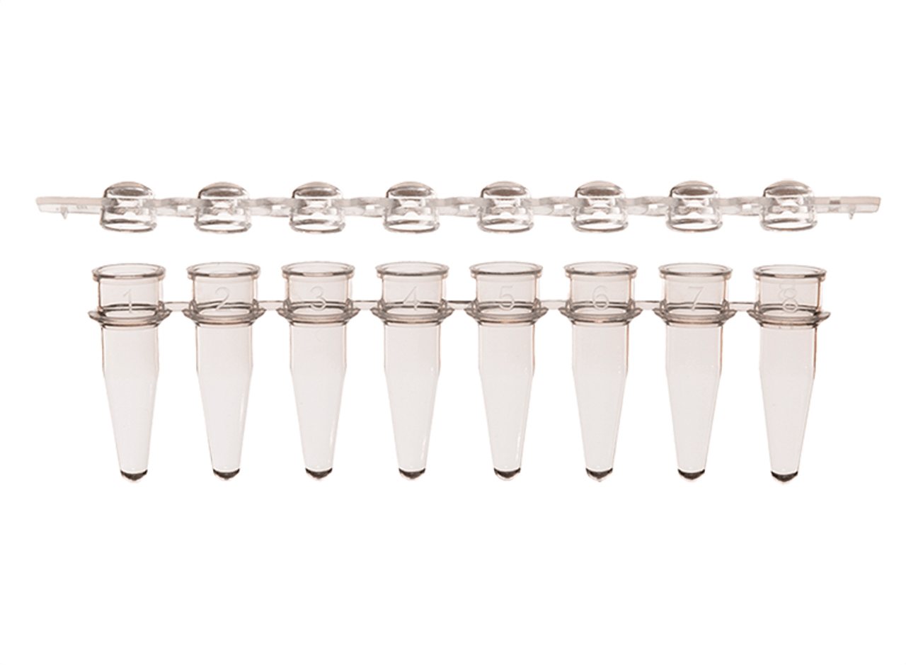 Benchmark, Efficient long beading needles for Jewellers 