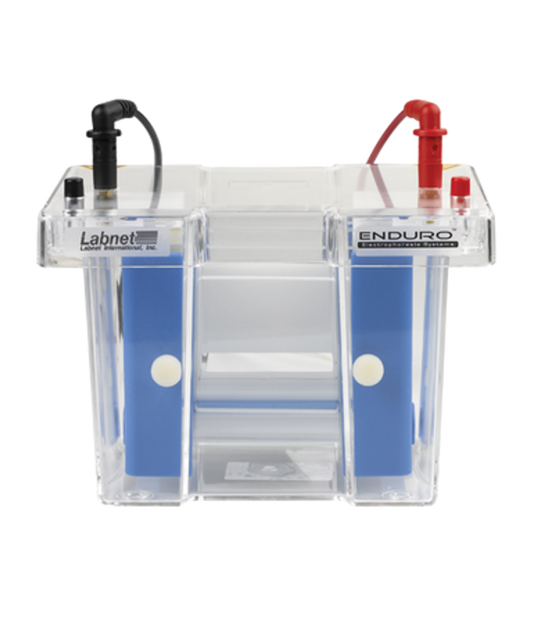 Should I choose wet or dry transfer methods for my Western blots?