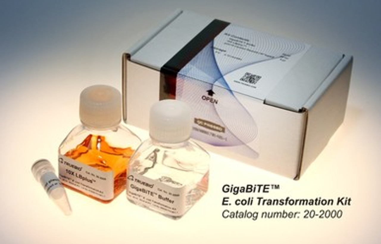 ​SMOBio GigaBiTE E. Coli Transformation Kit - Fast and affordable competent cells