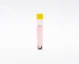 1.4mL 2D Cryotubes