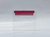 Hoefer Bis-Tris Pre-Cast Gels