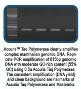 Accuris Taq DNA Polymerase, 1000 Units, 5u/æl
