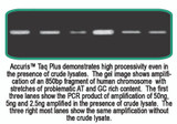 Accuris Taq Plus Hot Start DNA Polymerase 2X Master Mix 1000 x 50uL