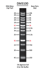 ExcelBand 1 KB (0.25-10 kb) DNA Ladder  500 µl ExcelBand 1 KB (0.25-10 kb) DNA Ladder  500 µl
