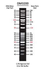 ExcelBand 1 KB Plus (0.1-10 kb) DNA Ladder  500 µl ExcelBand 1 KB Plus (0.1-10 kb) DNA Ladder  500 µl