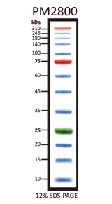 3-color Extra Range Protein Marker (10-310 kDa) 3-color Extra Range Protein Marker (10-310 kDa)