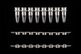 SeeMore™ 0.2mL Optically Clear PCR Strip Tube with Dome Cap ASSORTED Colors SeeMore™ 0.2mL Optically Clear PCR Strip Tube with Dome Cap ASSORTED Colors