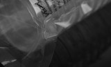 NEST tissue culture dish bags are notched for easy tearing and opening