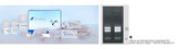 Biomiga Cell and Tissue RNA Extraction Kit, 50 Preps