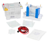 Labnet ENDURO VE20 Vertical Gel Electrophoresis System Includes 2 sets of Glass Plates, 1 mm Thick Bonder Spacers, 2 x 24 Well 1 mm Labnet ENDURO VE20 Vertical Gel Electrophoresis System Includes 2 sets of Glass Plates, 1 mm Thick Bonder Spacers, 2 x 24 Well 1 mm