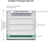 SMOB-Q-Page Midi gel cassette 