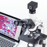 Moticam S1 SCMOS Digital Microscope Camera Shown Mounted on Motic Compund Microscope with Motic Images Plus In Background - Motic Microscopy - Stellar Scientific