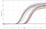 Amplification Plots in Aria MX Real Time PCR System Using the 96 well Full Skirted PCR Plate  P96-101 by Stellar Scientific - Demonstrating plate compatibility
