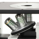 10x/20x/40x Plan Phase Objectives