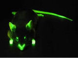 NIGHTSEA Fluorescence Viewing System with Royal Blue Excitation Cube