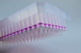 DNA Plasmid ezFilter Mini Kit 96-Well, 20 x 96 Preps