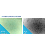 Optional Integrated Live Viewing Microscope Shelf H3565-180-LCI For Benchmark Scientific 180L CO2 Incubator