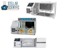 Why BACTRON Anaerobic Chamber Atmosphere Controls are Essential for Strict Anaerobe Cultivation
