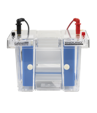 Should I choose wet or dry transfer methods for my Western blots?