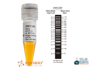 Mastering DNA Fragment Analysis: Why ExcelBand 50 bp DNA Ladder is the Gold Standard