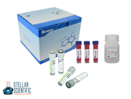 Essential Guide: How to Choose the Best Molecular Biology Lab Equipment for Your Experiment