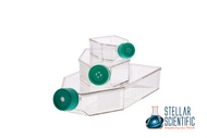 Understanding TC-Treated Flasks: How Plasma Surface Modification Enhances Adherent Cell Culture