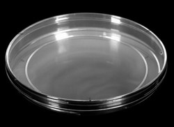 150mm Petri Dishes