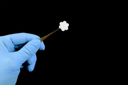 3D Cell Migration and Invasion Assay